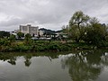 390454.jpg
