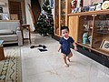PXL_20220801_024301143.MP.jpg