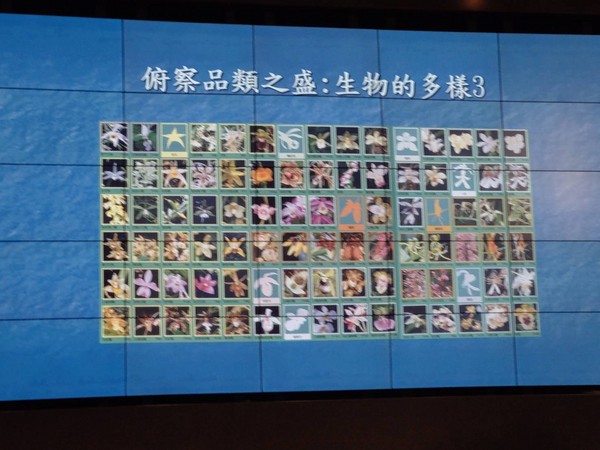 488660.jpg