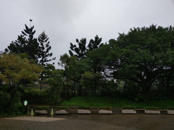 488800.jpg
