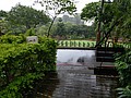 488739.jpg
