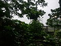 488748.jpg
