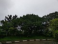 488799.jpg