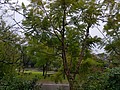 488808.jpg