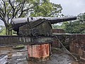 57411.jpg