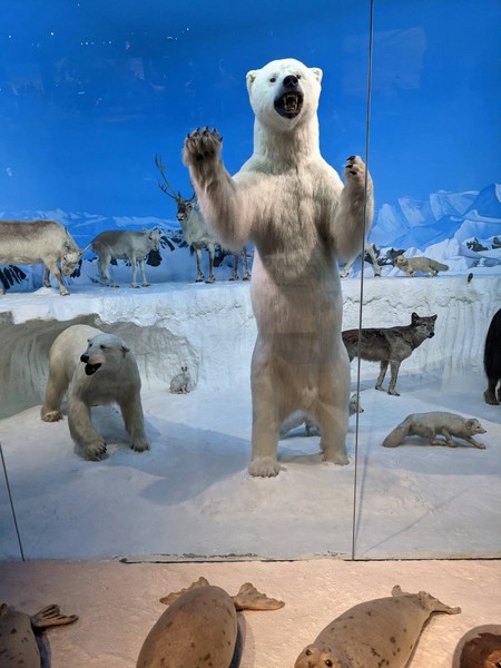 59056.jpg