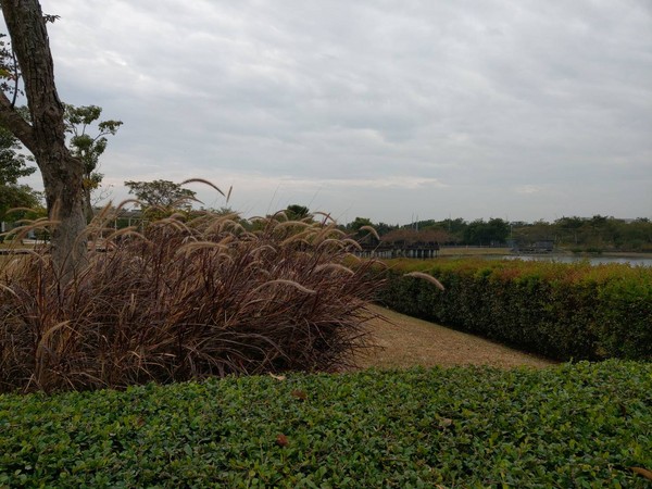 494916 (3).jpg