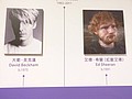 494738.jpg