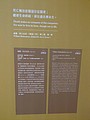 494756.jpg
