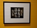 494764.jpg