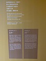 494766.jpg