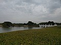 494916 (2).jpg