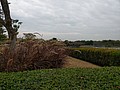 494916 (3).jpg