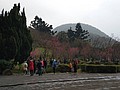 503943.jpg