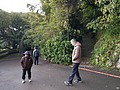 503959.jpg