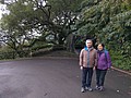 503960.jpg