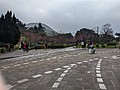 61733.jpg