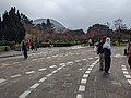 61735.jpg