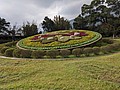 61736.jpg