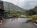 61747.jpg