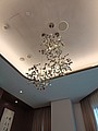 IMG_20230527_120011.jpg