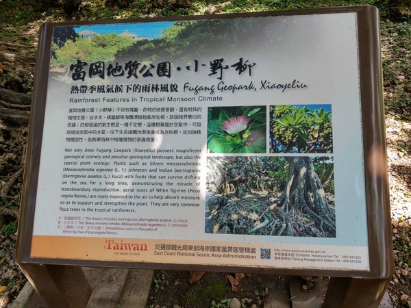557464.jpg