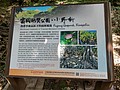 557464.jpg
