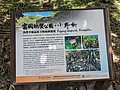 75697.jpg