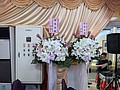 78470_0.jpg