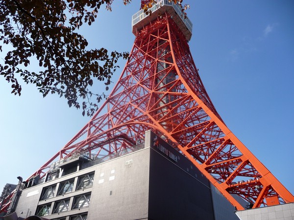P1010260.JPG