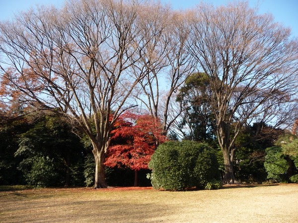 P1010686.JPG