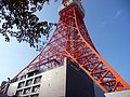 P1010260.JPG