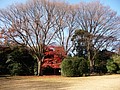 P1010686.JPG