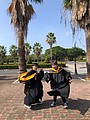 IMG_0419.JPG