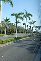 DSC02857.JPG