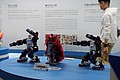 DSC02939.JPG