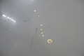 DSC02949.JPG