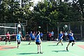 DSC03095.JPG