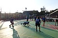 DSC03199.JPG