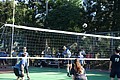 DSC03285.JPG