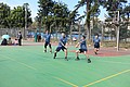 DSC03315.JPG
