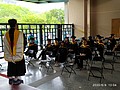 IMG_20200606_130404.jpg