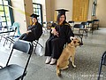 IMG_20200606_130417.jpg