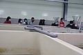 DSC08140.JPG