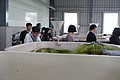 DSC08142.JPG