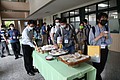 760A3706.JPG