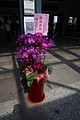 760A5311.JPG
