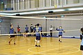 DSC03389.JPG