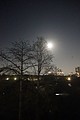 DSC05832.JPG