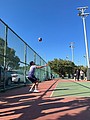 002 (87).jpg